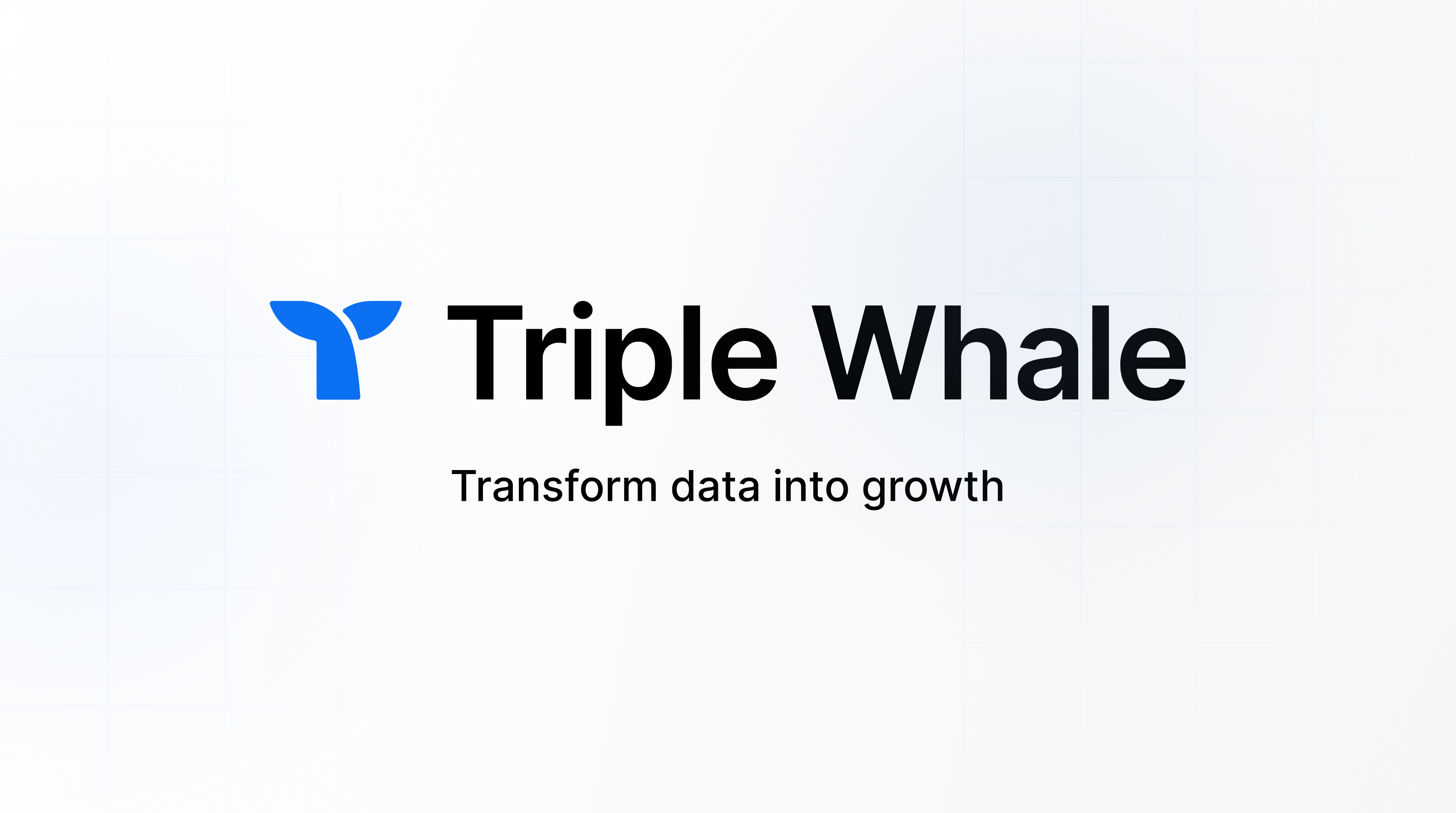 Triplewhale preview
